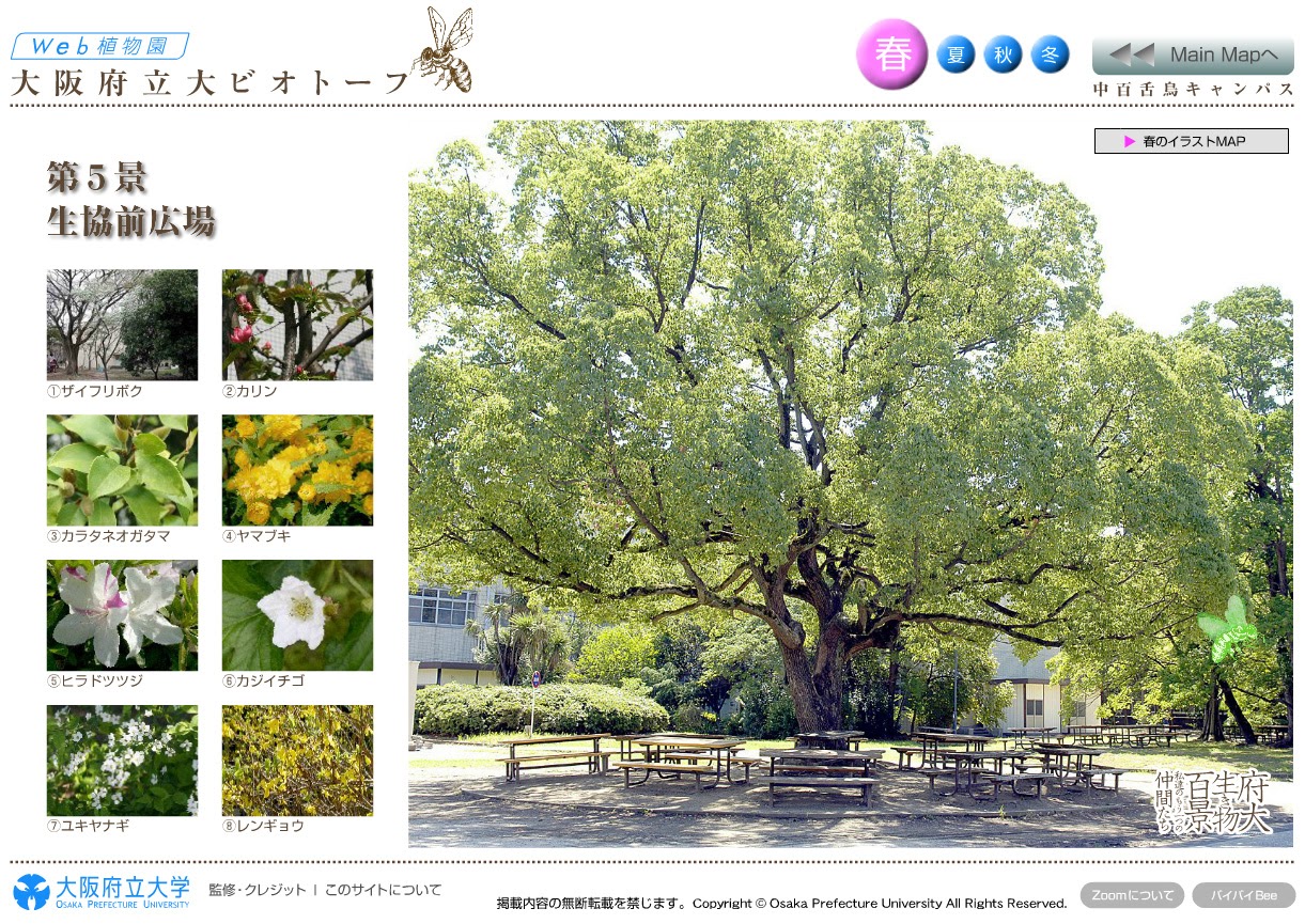 植物園コンテンツ, ホームページ, e-Zoom Flash, WEB 博物館, 大阪府立大学